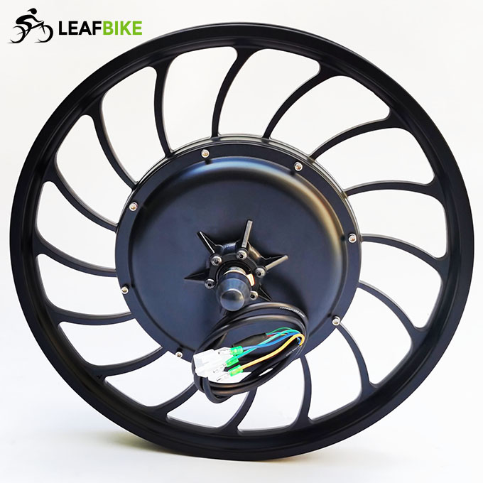 20 inch 48V 52V 1000W rear casted hub motor - bike conversion kit