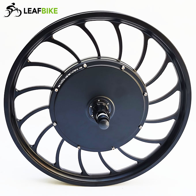 20 inch 48V 52V 1000W rear casted hub motor - bike conversion kit