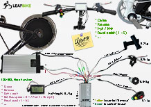 14 inch 36V 750W rear casted hub motor electric bike conversion kit wire diagram