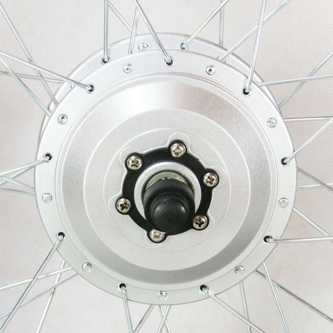 20 inch 24V 250W rear hub motor - electric bike kit