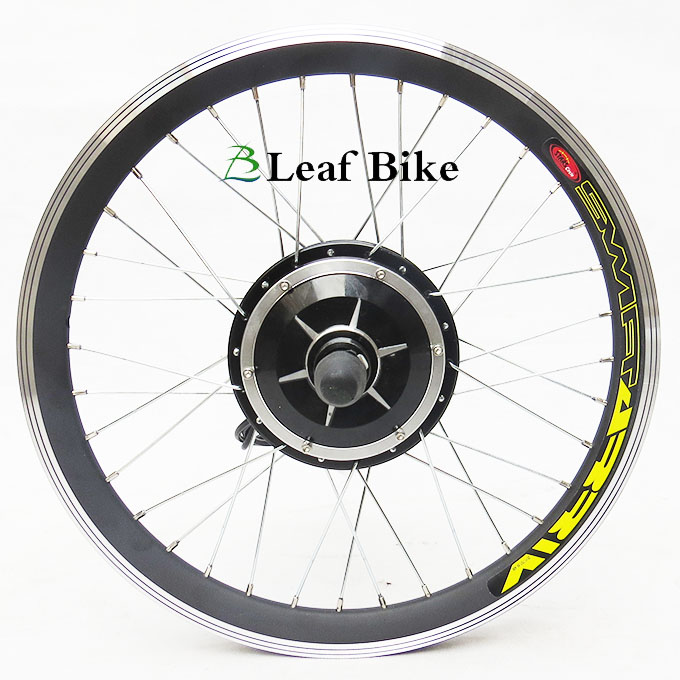 20 inch 36V 250W rear electric hub motor kit