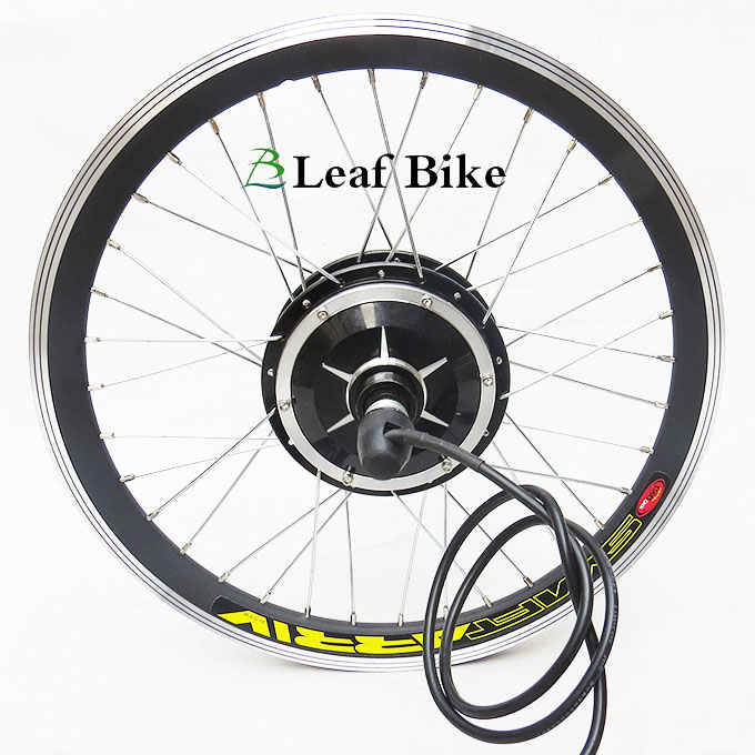 20 inch 36V 250W rear electric hub motor kit